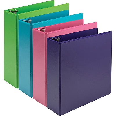 Samsill Earthchoice Durable View Binder (SAMMS48689)