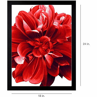 Lorell Wide Frame (LLR49312)