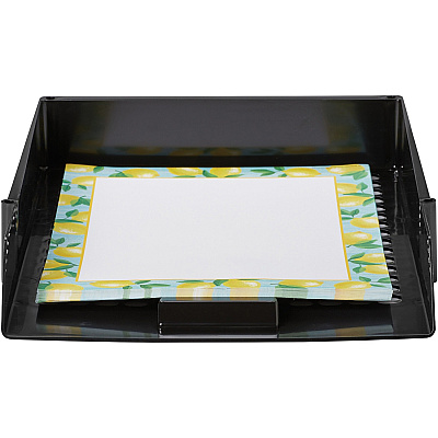 deflecto AntiMicrobial Industrial Front-Load Tray (DEF63905)
