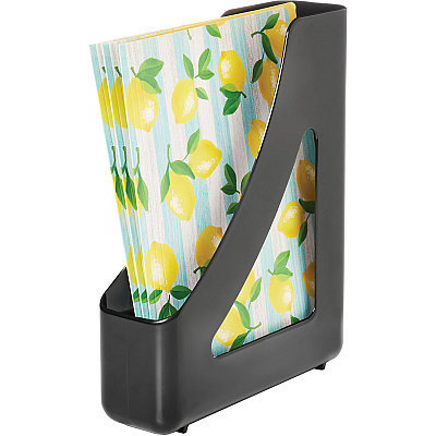 deflecto AntiMicrobial Magazine File (DEF63909)
