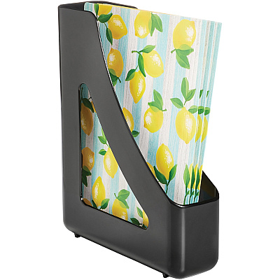 deflecto AntiMicrobial Magazine File (DEF63909)