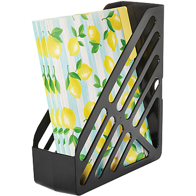 deflecto AntiMicrobial Jumbo Magazine File (DEF63907)