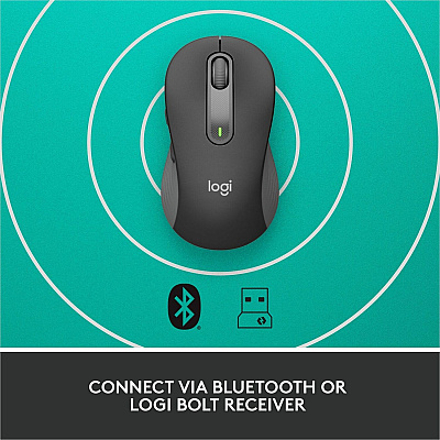 Logitech Signature M650 L for Business (Graphite) - Brown Box (910006346)
