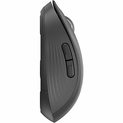 Logitech Signature M650 L for Business (Graphite) - Brown Box (910006346)
