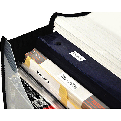 Lion EXPAND-N-FILE File Wallet (LIO48170CR)