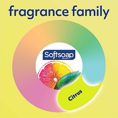 Softsoap Antibacterial Hand Soap Pump (CPCUS04206A)