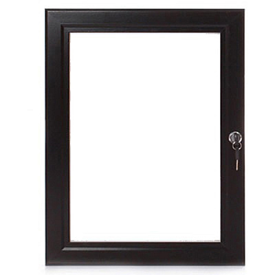 Seco Locking Poster Case (LCASE2436BL)