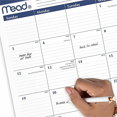 Cambridge Basic 2025-2026 Monthly Desk Pad Calendar, Standard, 21 3/4" x 17" (CRM92020)
