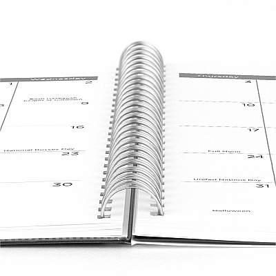 Mead Thicket Monthly Desk Pad Calendar, Compact, 17 3/4" x 11" (CRW42005)