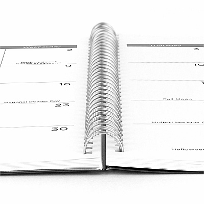 Mead Basic Weekly Monthly Planner, Black, Large, 8 1/2" x 11" (CRW62005)