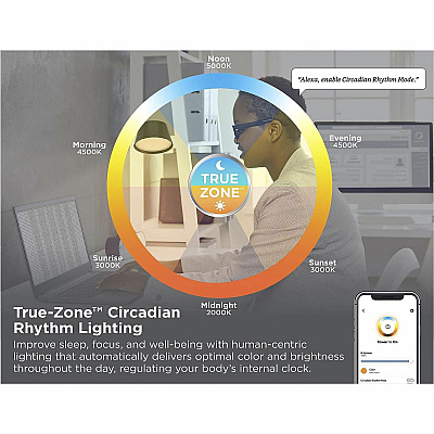 Bostitch Verve Adjustable LED Desk Lamp (BOS2200CLSMBK)
