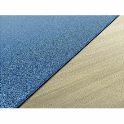 Flagship Carpets Americolors Solid Color Rug (AS22BB)