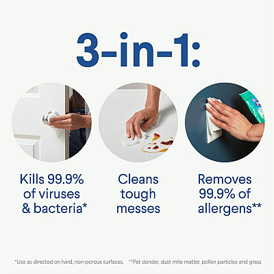 Clorox On The Go Bleach-Free Disinfecting Wipes (CLO60133CT)