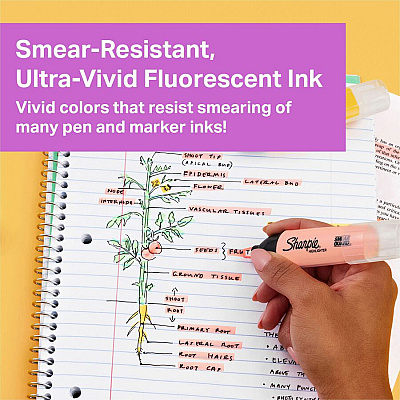 Sharpie Clear View Highlighter (SAN2149298)