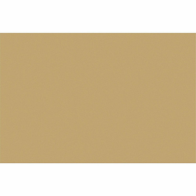 Tru-Ray Construction Paper (PACP103074)