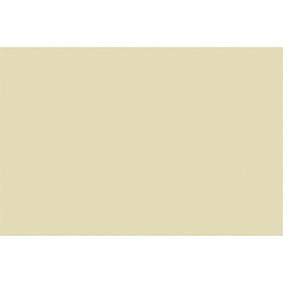 Tru-Ray Construction Paper (PACP103065)