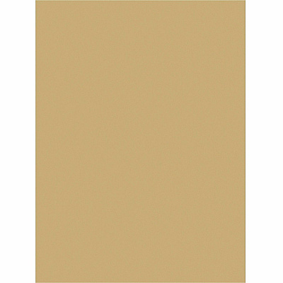 Tru-Ray Construction Paper (PACP103067)