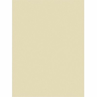 Tru-Ray Construction Paper (PACP103043)