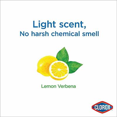 Clorox Multipurpose Paper Towel Wipes (CLO32578)
