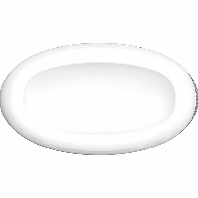 Clorox Disinfecting, Sanitizing, and Antibacterial Mist (CLO60156)