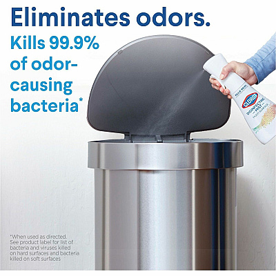 Clorox Disinfecting, Sanitizing, and Antibacterial Mist (CLO60151)