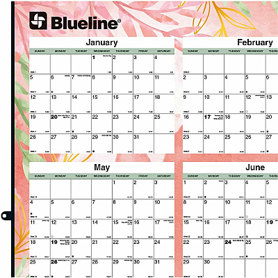 Blueline Passion Yearly Laminated Wall Calendar, 24" x 36" , English (C171920)