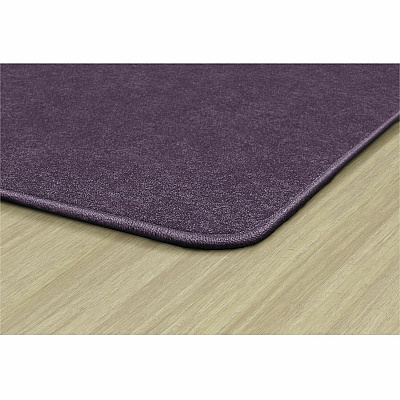 Flagship Carpets Amerisoft Solid Color Rug (TS22PP)