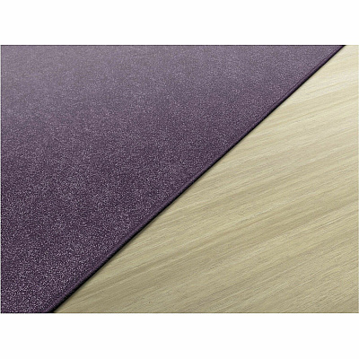 Flagship Carpets Amerisoft Solid Color Rug (TS26PP)