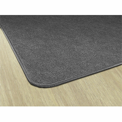 Flagship Carpets Amerisoft Solid Color Rug (TS70GY)