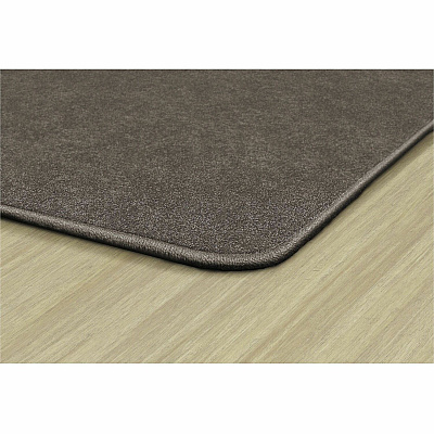 Flagship Carpets Amerisoft Solid Color Rug (TS70WT)