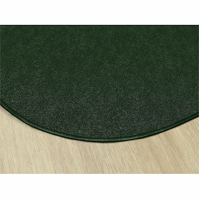 Flagship Carpets Amerisoft Solid Color Rug (TS45EG)