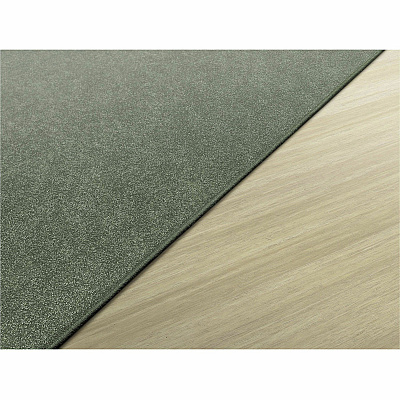 Flagship Carpets Amerisoft Solid Color Rug (TS70SG)