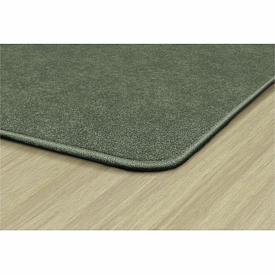 Flagship Carpets Amerisoft Solid Color Rug (TS70SG)