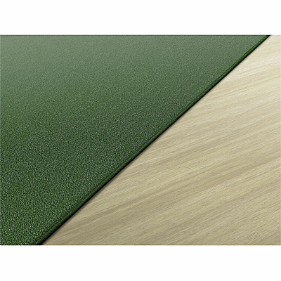 Flagship Carpets Americolors Solid Color Rug (AS22CL)