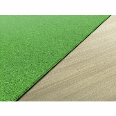Flagship Carpets Americolors Solid Color Rug (BS22LG)