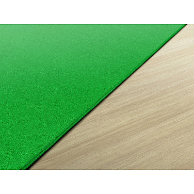 Flagship Carpets Ameristrong Solid Color Rug (BS70LG)