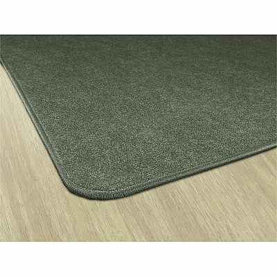 Flagship Carpets Amerisoft Solid Color Rug (TS80SG)