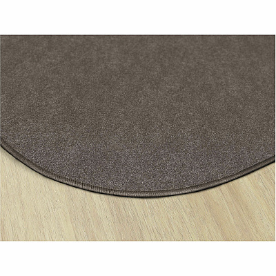 Flagship Carpets Amerisoft Solid Color Rug (TS45WT)