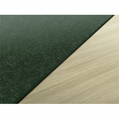 Flagship Carpets Amerisoft Solid Color Rug (TS76EG)