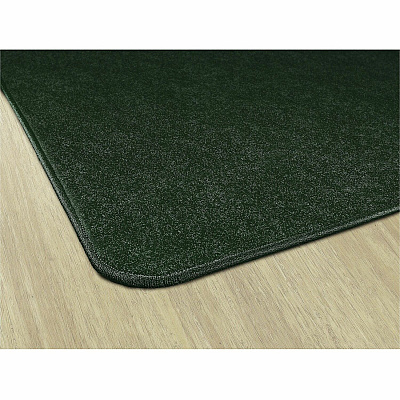 Flagship Carpets Amerisoft Solid Color Rug (TS22EG)