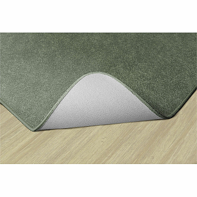 Flagship Carpets Amerisoft Solid Color Rug (TS22SG)