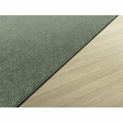 Flagship Carpets Amerisoft Solid Color Rug (TS22SG)