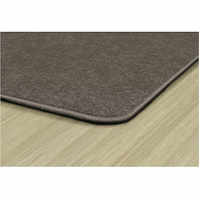 Flagship Carpets Amerisoft Solid Color Rug (TS22WT)