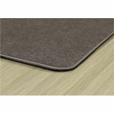 Flagship Carpets Amerisoft Solid Color Rug (TS22WT)