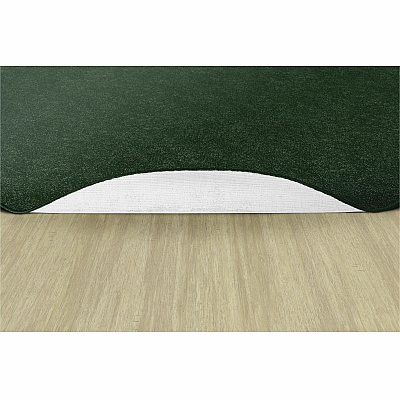Flagship Carpets Amerisoft Solid Color Rug (TS27EG)