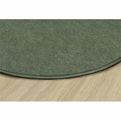 Flagship Carpets Amerisoft Solid Color Rug (TS27SG)