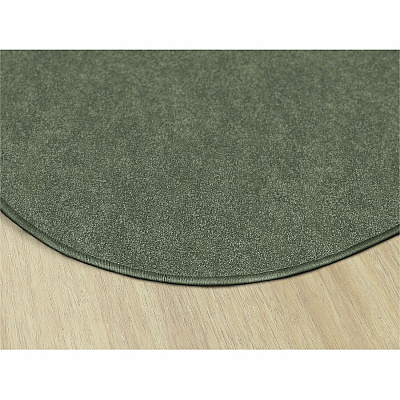 Flagship Carpets Amerisoft Solid Color Rug (TS27SG)