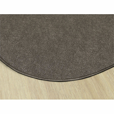 Flagship Carpets Amerisoft Solid Color Rug (TS27WT)