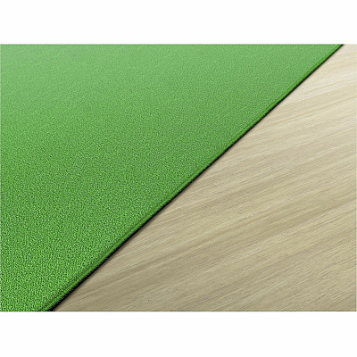 Flagship Carpets Americolors Solid Color Rug (AS76LG)