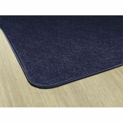 Flagship Carpets Amerisoft Solid Color Rug (TS22NY)